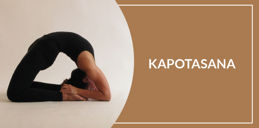 11 Kapotasana Benefits (King Pigeon Pose)